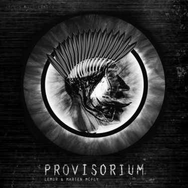 Cover "Provisorium" (Lemur & Marten McFly) / © Kreismusik